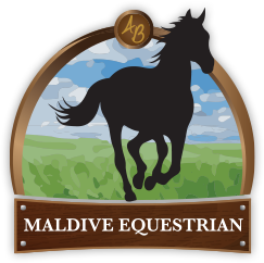 Maldive Equestrian